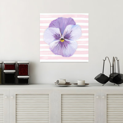 Pansy On Striped Canvas III by Hannah Dawson - Wrapped Canvas Print