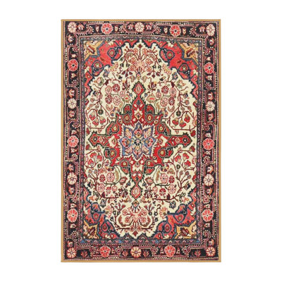 Oriental Indoor Rug
