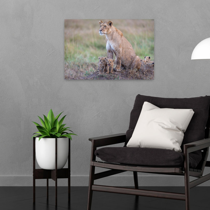 Savanna Lion Family Contemporary Cat Lion Nature Wildlife Wall Art Print by Jeffrey C. Sink - 1 Piece Wrapped Canvas Wall Art
