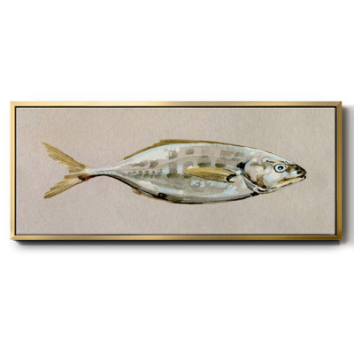 Fresh Fish Study I - toile encadrée