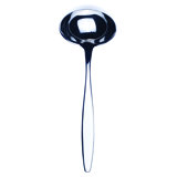 Immagina Stainless Steel Ladle