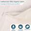 Ensemble de serviettes en coton biologique Lyndon-1437855156-1370458517