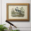 Audubons Louisiana Heron - peinture sur toile encadrée-212537133