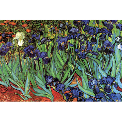 Irises by Vincent Van Gogh Painting Print on Wrapped Canvas