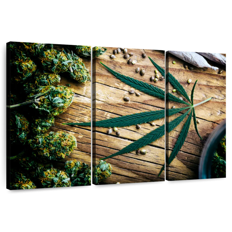 Senne Dried Marijuana, 28" H x 45" W
