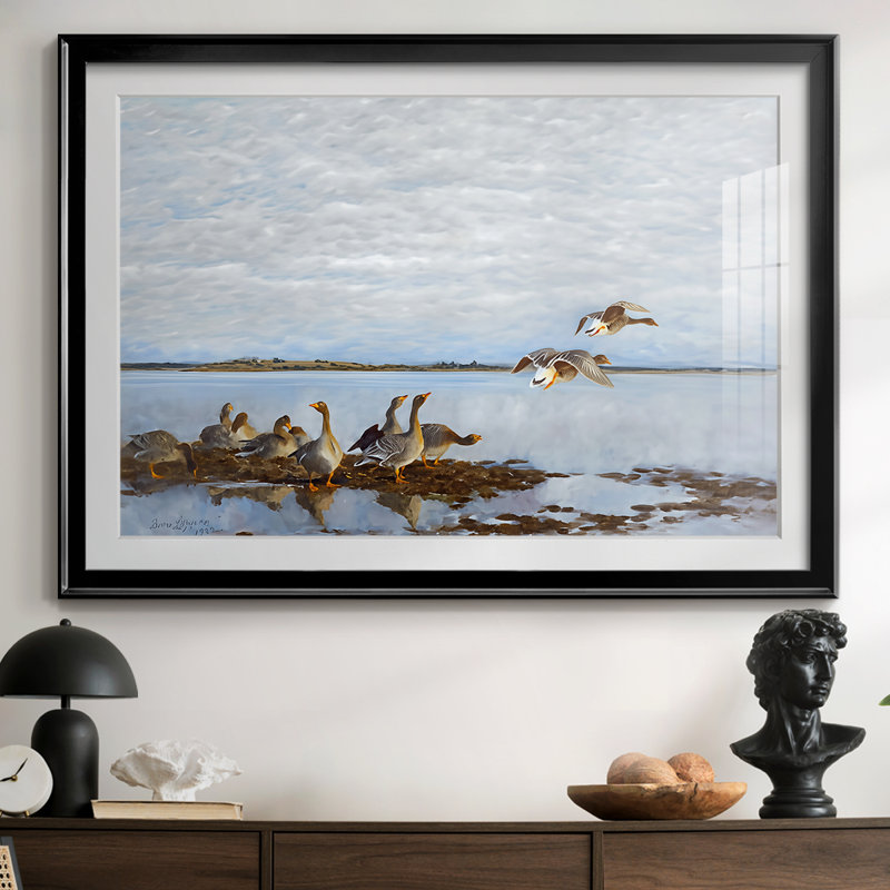 Oies cendrées (Grägäss) - Brun Lilofors - reproduction encadrée avec passe-partout et verre - 1922, 30 x 5 x 42,5, Black