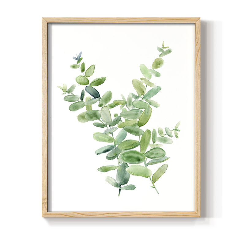 Eucalyptus III Framed Print - Solid Wood