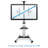 Mount-It Mobile TV Stand for Flat Screen TVs | Height Adjustable Rolling TV Cart for 32 - 70 in.