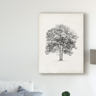 « rétro arbor study ii », reproduction de dessin sur toile tendue