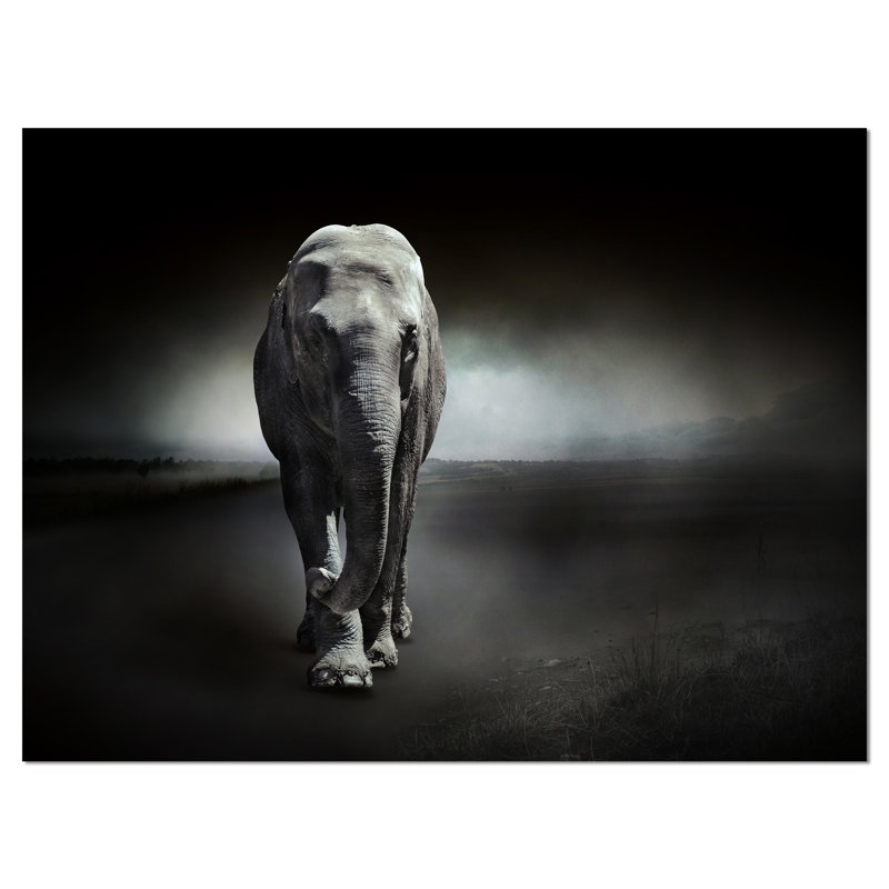 Grand éléphant sur fond noir - impression sur toile tendue, H 12 po x l 20 po