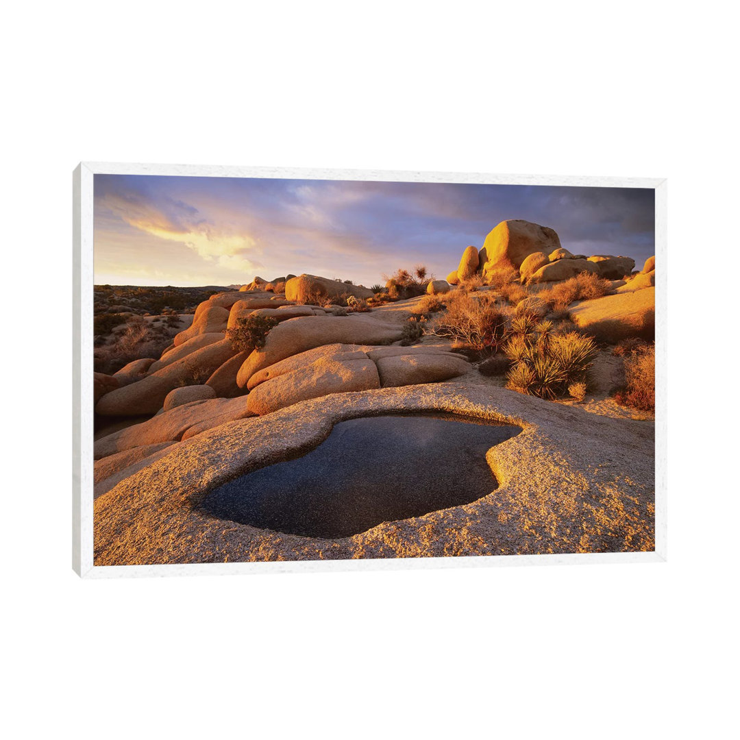 Water That Has Collected In Boulder, Joshua Tree National Park, California von Tim Fitzharris - Gallery-Wrapped Canvas G...