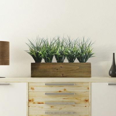 12" Tall Floor Foliage Grass in Pot