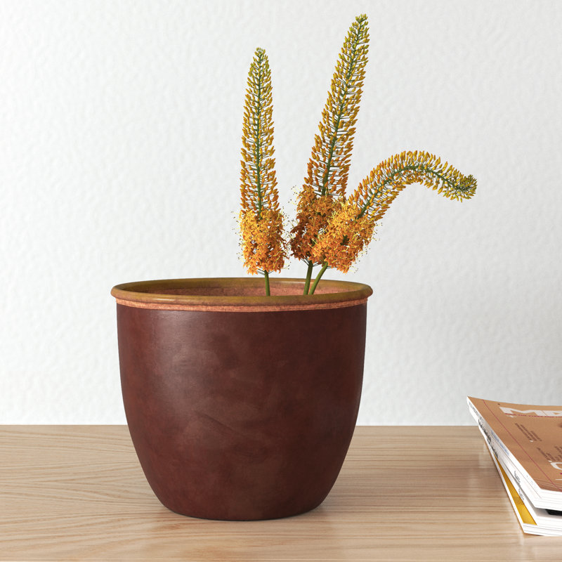 Alita Glass Pot Planter, 4" H x 4.30" W x 4.30" D 