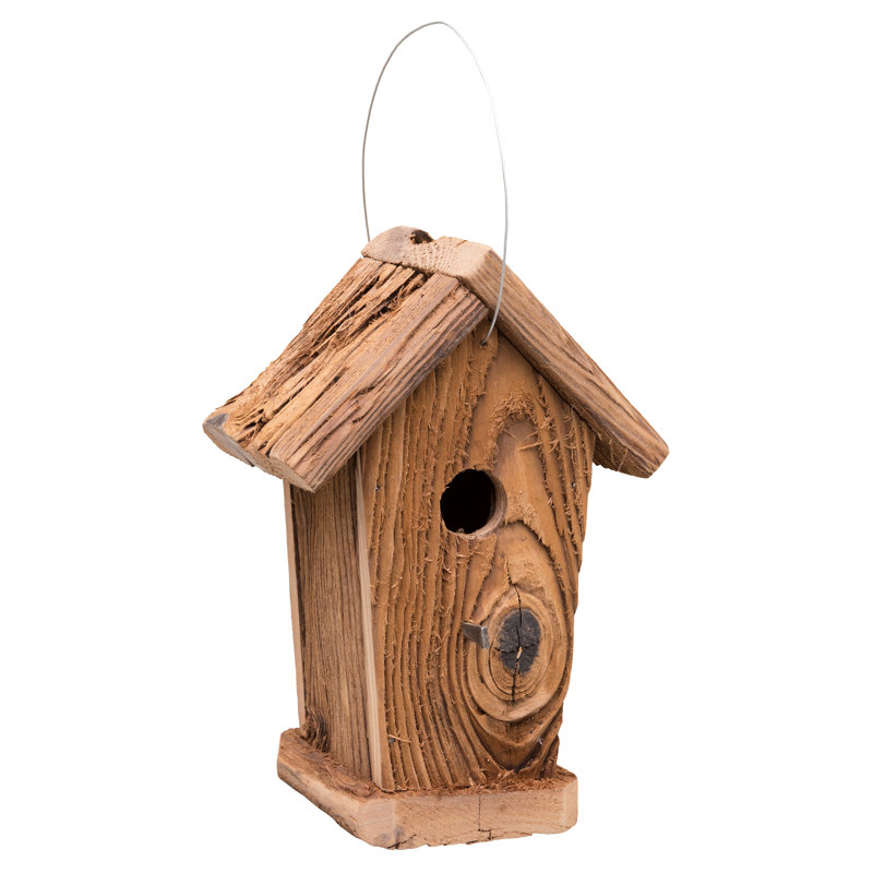 Jonesport 10'' H x 6'' W x 7.5'' D Birding Essentials