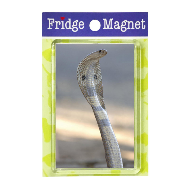 Fridge Magnet