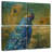 Brampt Peacock Bliss-109154620