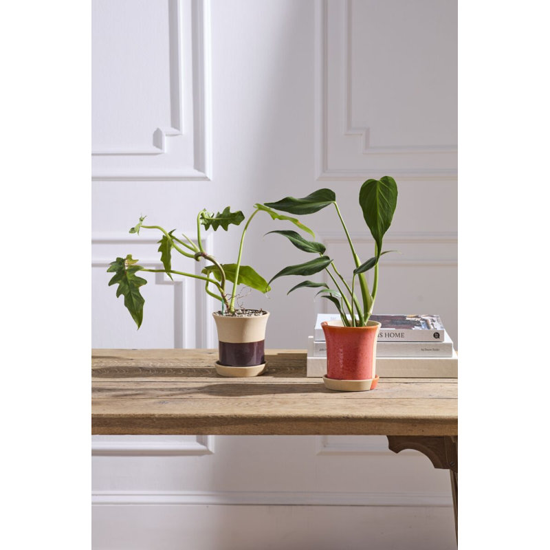 Pot avec soucoupe Rowen 5 po x 5,25 po, Orange