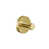 Brushed Gold