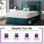 Gallego Upholstered Divan Bed-386540451-386540455-386542403