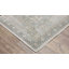 Tapis beige / bleu sarcelle Graicyn Global Traditonal-1007725548