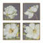 Ensemble de 4 impressions murales botaniques blanches et dorées, décor à la maison pour le salon, la salle à manger, le couloir de la chambre à coucher, 20 po x 20 po