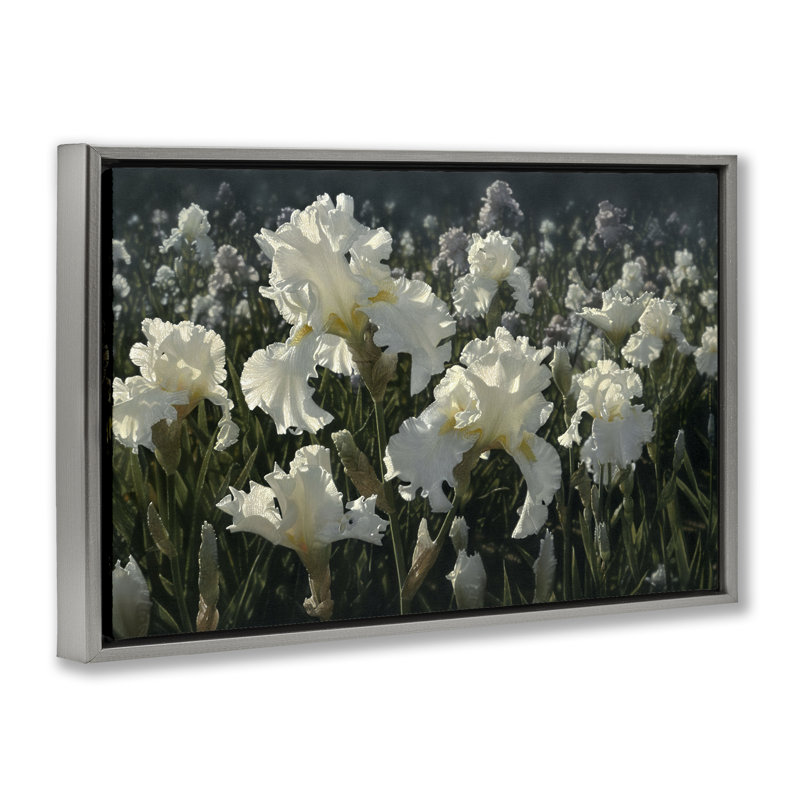 Cadre flottant blanc Iris Garden, design par Collin Bogle, H 21 po x l 31 po, Cadre flottant gris lustré