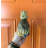 Hospitality Pineapple Door Knocker-15024118-41399305