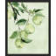 «Green Apples Illustration Realism Rustic Nature Relax / Calm Multicolor Office» sur papier-98267254-98267256