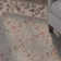 Godfrey Floral Indoor Rug