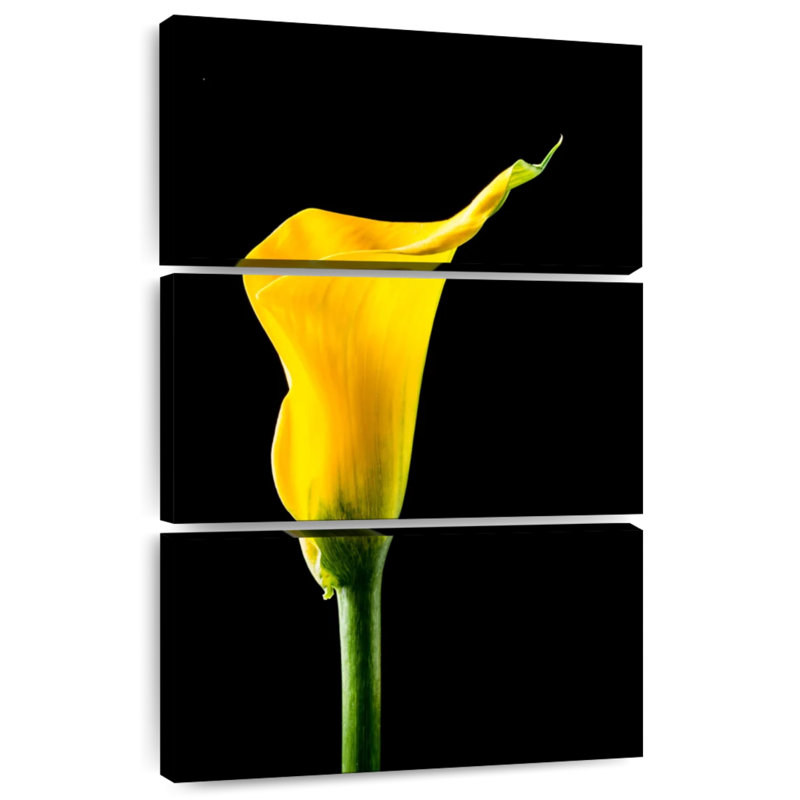 Harnek fleur de lys Calla, H 32 po x l 20 po