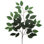 Ficus vaporisateur 24 po - paquet de 24