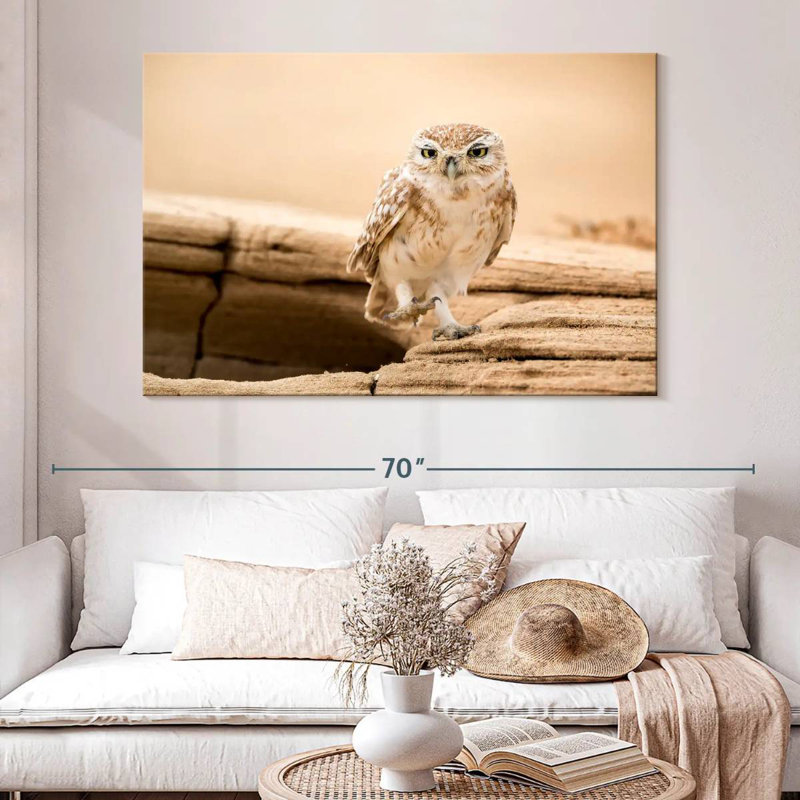 Brampt Desert Owl