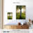 Harnek Sunlit Birch Tree-108237322