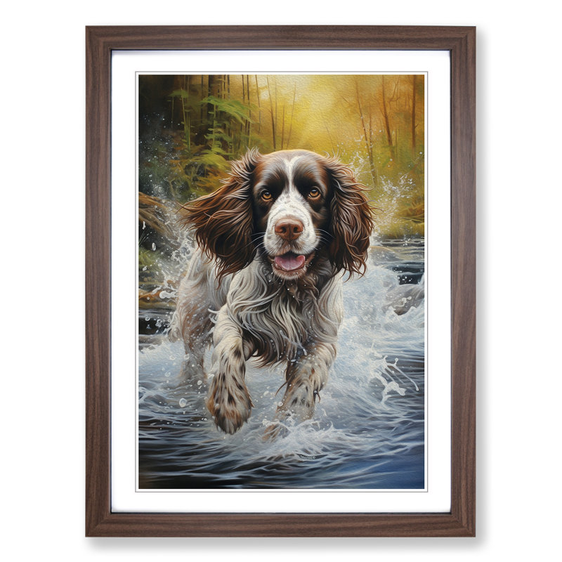English Springer Spaniel Tachisme Framed Print, Walnut, 34cm H x 25cm W x 2cm D