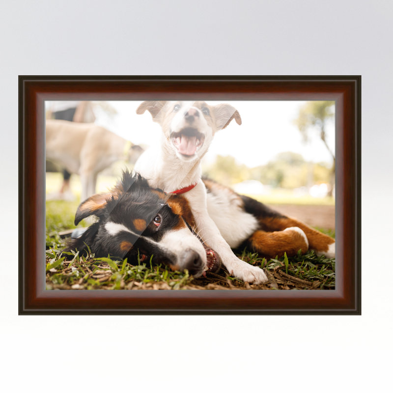 Cadre photo en bois massif Adekemi, L 17 po x H 24 po