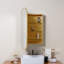 Pharmacie Eaton, encastrement et fixation en surface-1542922921