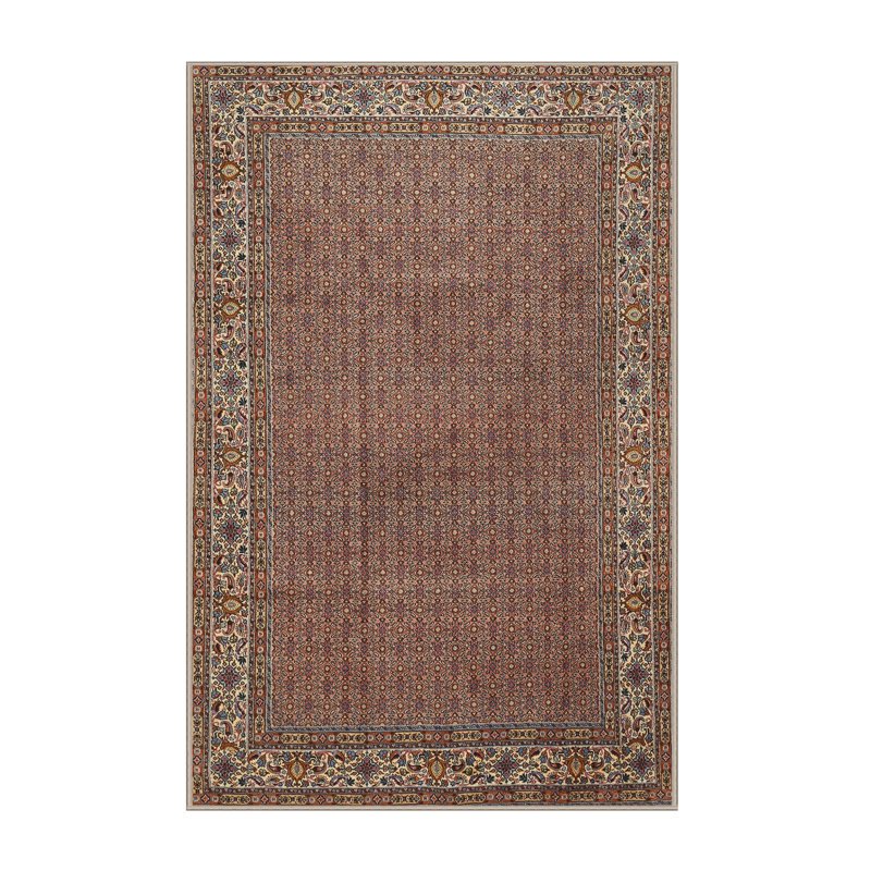 Caysin Oriental Indoor Rug, Rectangle 7' x 9'