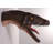 Velociraptor Dinosaur Head Life Size Statue
