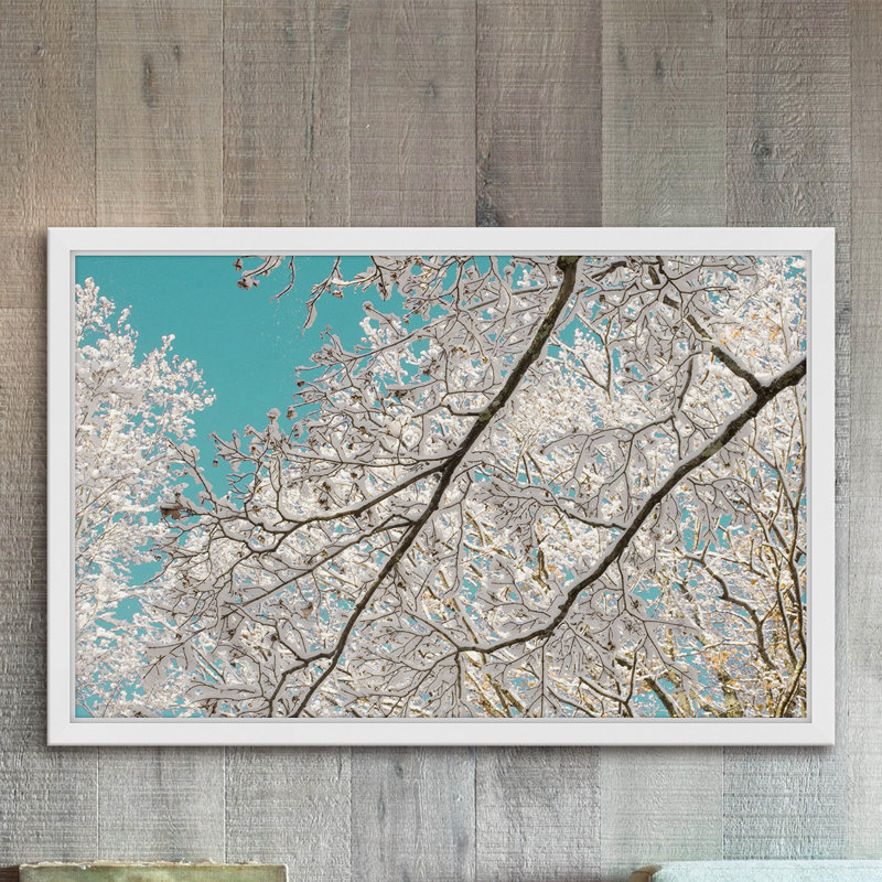 Judy Stalus - Single Picture Frame Print, 61cm H x 91cm W x 3.81cm D