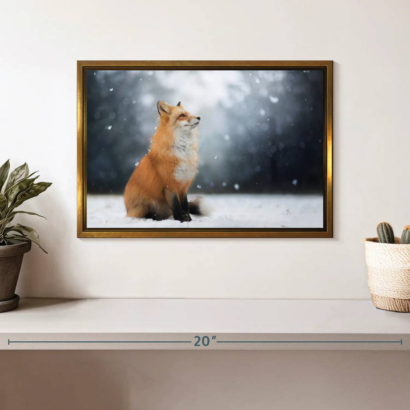 Dreamy Winter Fox, Cadre flottant doré, 13 po x 9 po