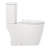 Grayvik 1.28 GPF Two Piece Elongated Toilet