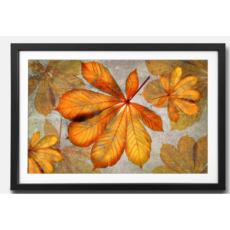 Streetart Beautiful Case - Single Picture Frame Print, 44cm H x 64cm W x 2.2cm D
