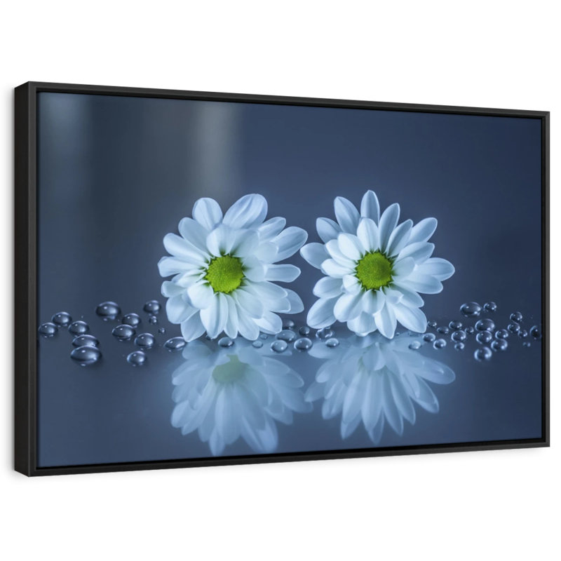 Impression sur toile de marguerites blanches, H 25 po x l 37 po