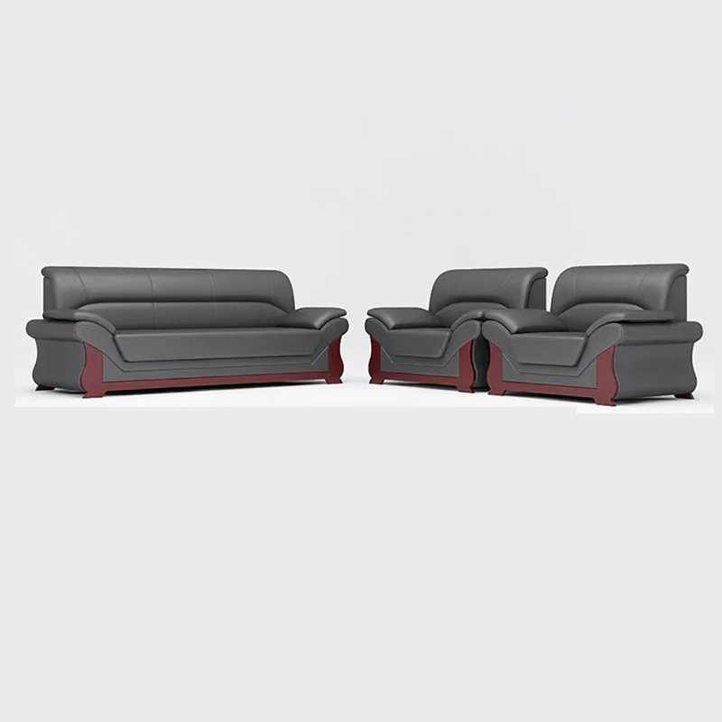 Modern exquisite elegant sofa set