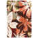 Asiha Floral Indoor Rug