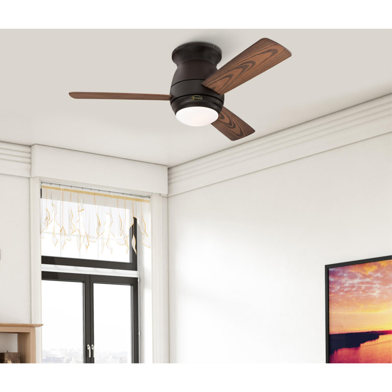 Halley 44'' Ceiling Fan with Light Kit