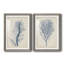 Indigo Coral-1687557489-1687557494-1687523540