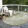Machine Washable Indoor/Outdoor Xhevrie Sage Rug
