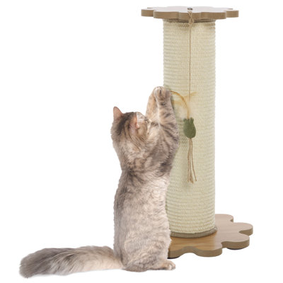 Cat Scratch Toy