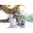 Stainless Steel Sugar and Creamer Set